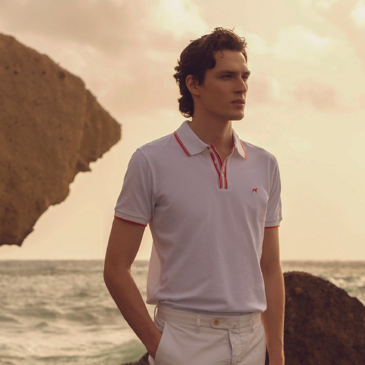 The Ultimate Guide to Polo Shirts