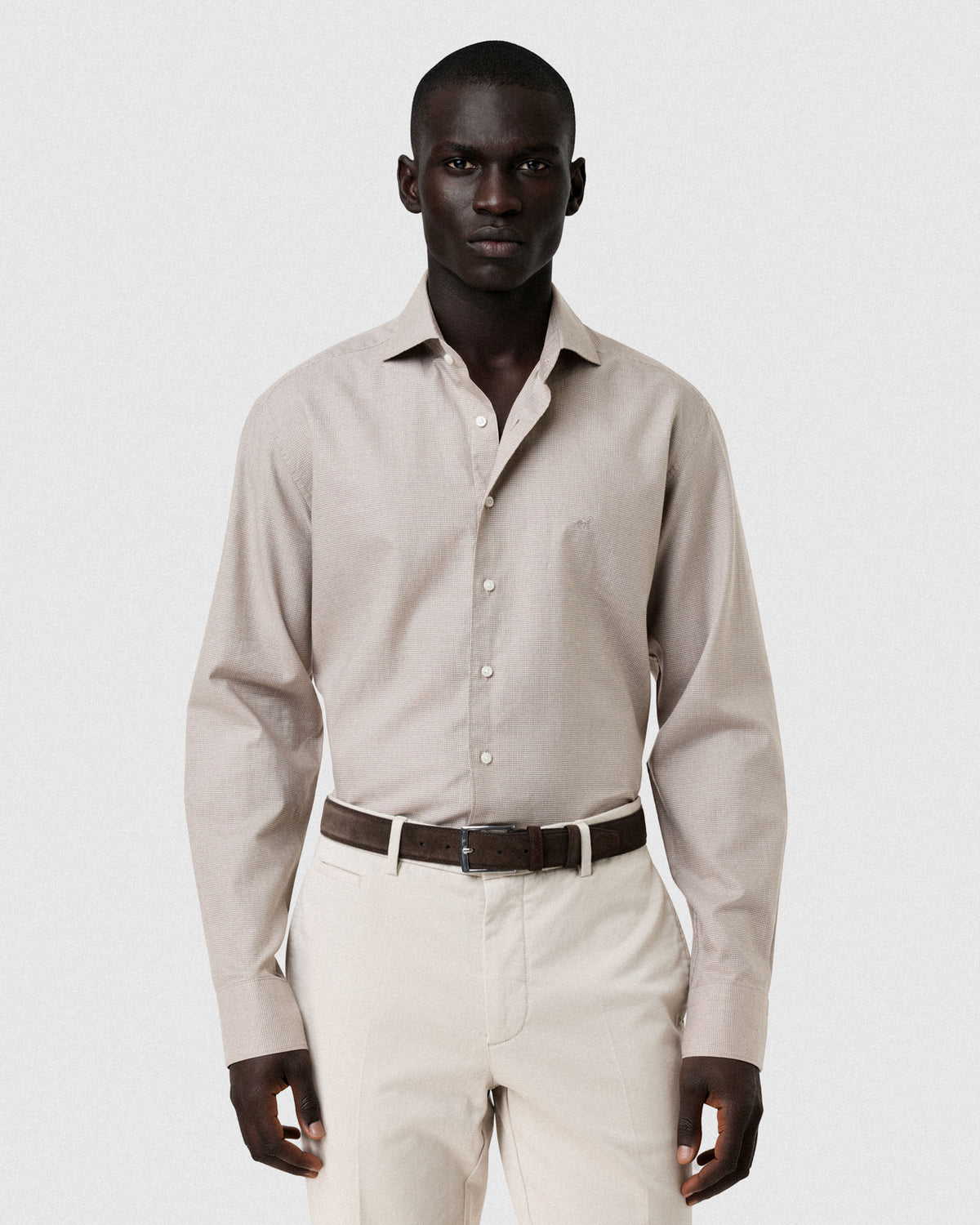 Light Brown (AI)