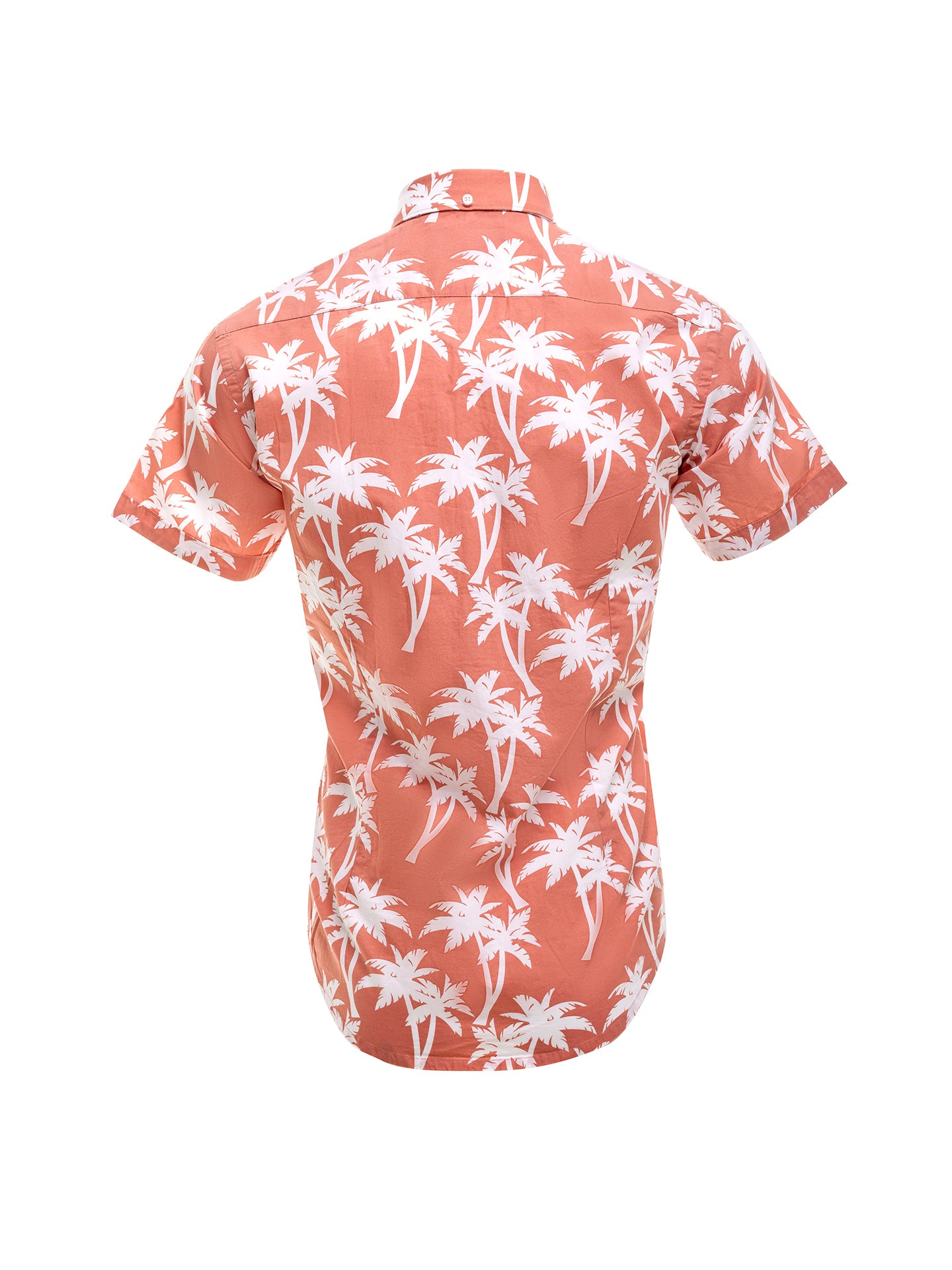 Light Orange