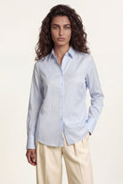 Light Blue (AI)