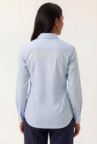 Light Blue (AI)