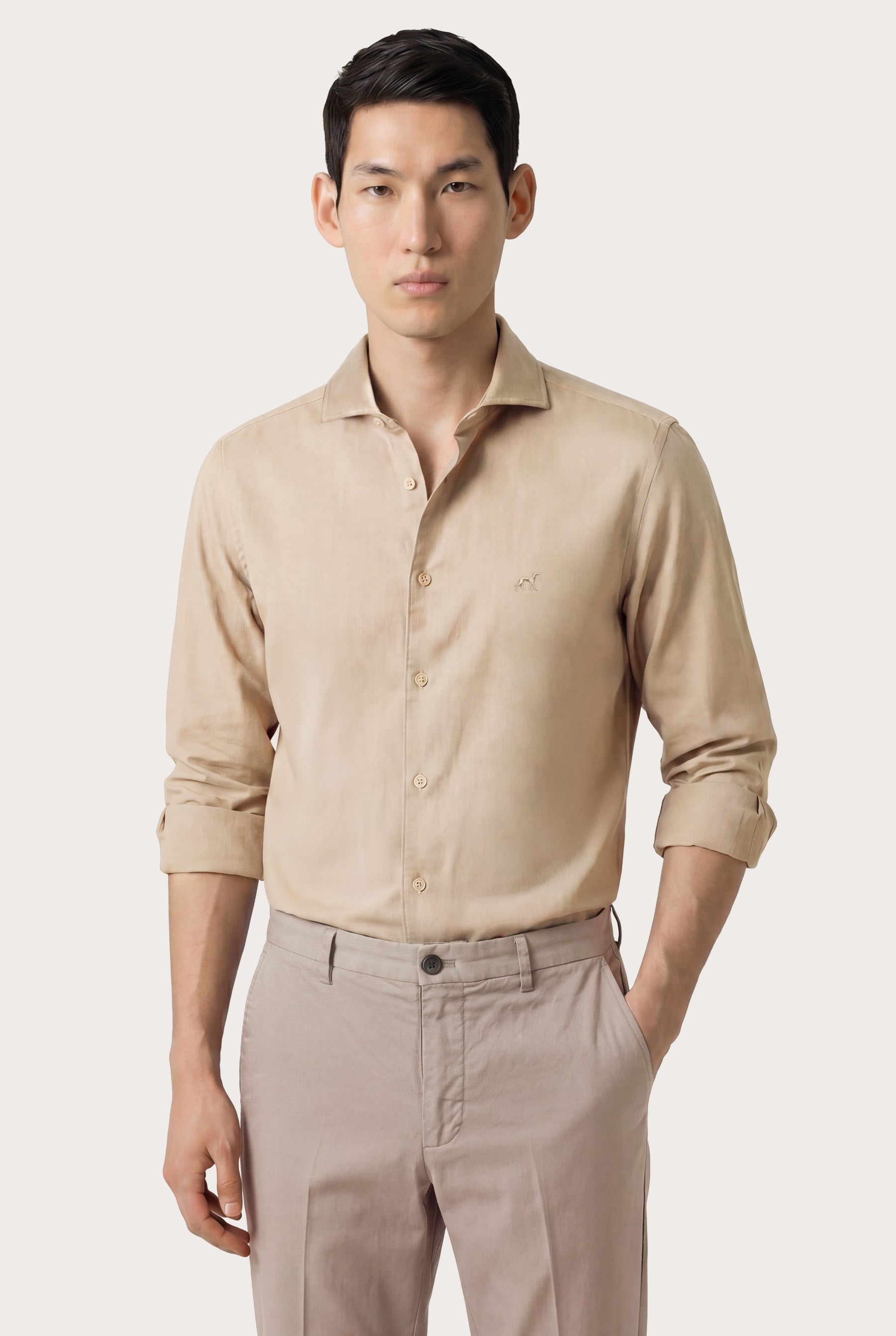 Light Beige (AI)