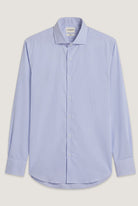 Light Blue (AI)
