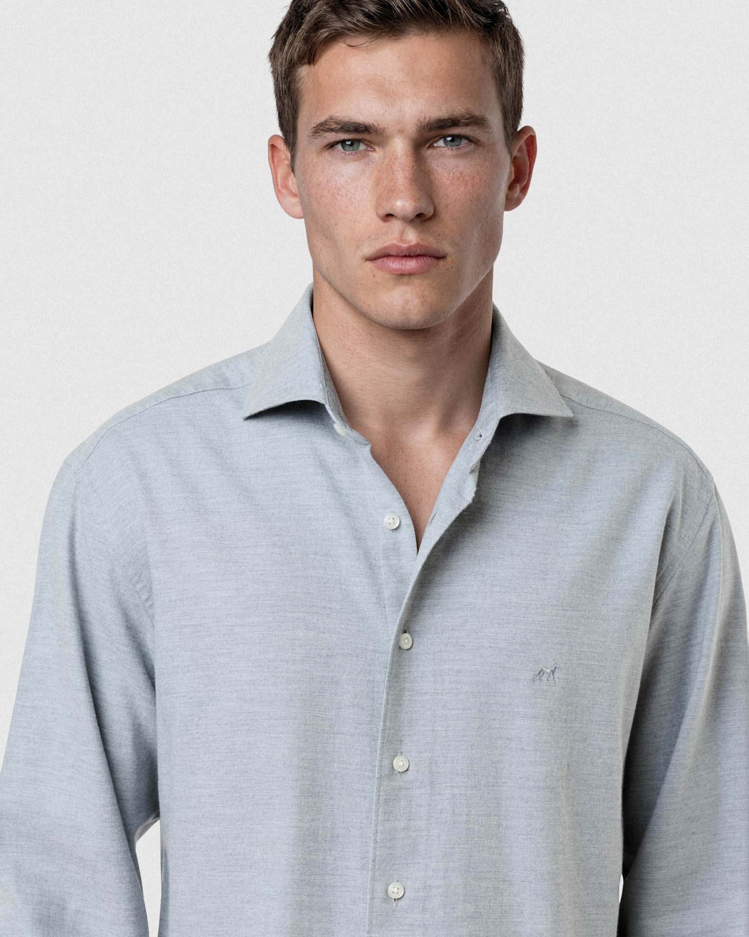 Light Grey (AI)